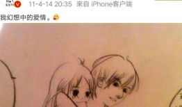王思聪网红美男