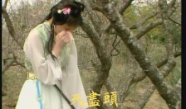 搞笑黛玉葬花,一场花与泪的喜剧奇遇