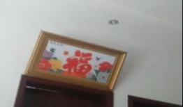 娱乐之超级狗仔王