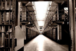 楼诚弱点原著背景监狱,楼诚弱点原著背景下的监狱生活画卷