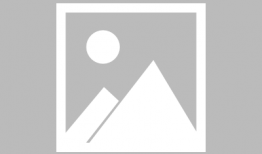 凤囚凰的电视背景