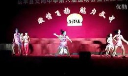 啦啦操背景音乐,青春律动——啦啦操音乐魅力解析