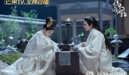 凤囚凰的电视背景