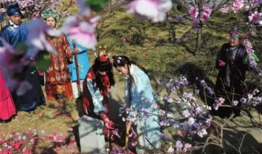搞笑黛玉葬花,一场花与泪的喜剧奇遇