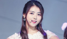 韩国组合成员资料