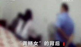 黄鳝的女主播视频直播,揭秘网络直播界的另类魅力