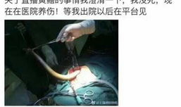 女主播黄鳝自慰死了没,悲剧背后的警示