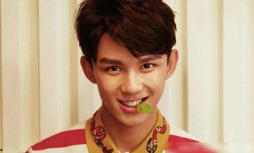 吃瓜娱乐圈吴磊是谁的孩子,娱乐圈新星，揭秘其神秘身世之谜