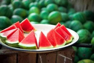 娱乐吃瓜酱江苏